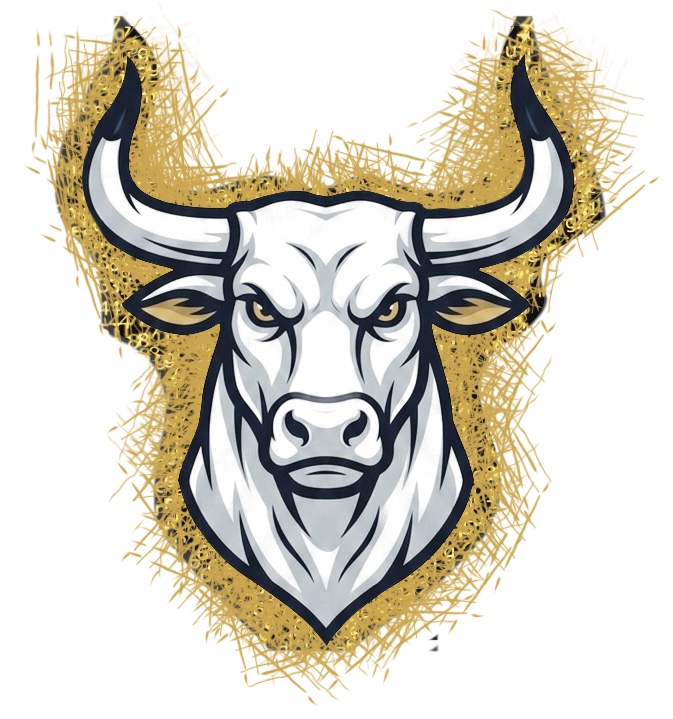 Torosec logo